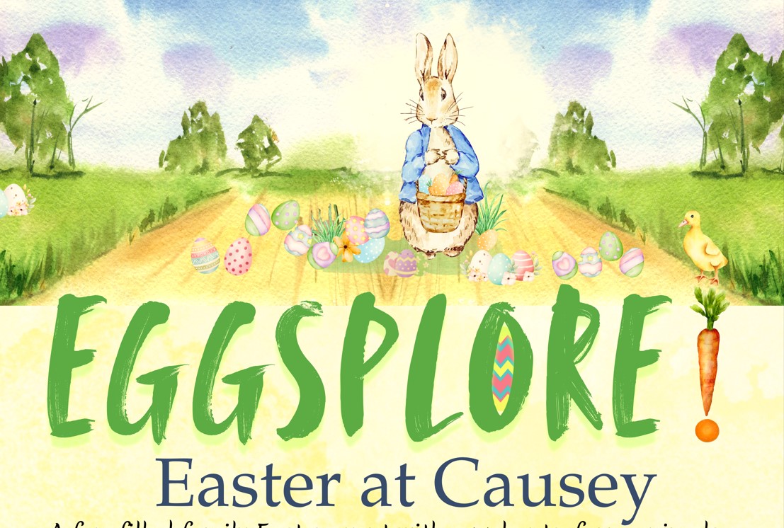 Eggsplore at Causey Farm | Discover Boyne Valley Meath, Ireland