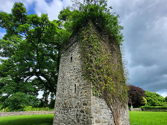 Batterstown M Tower