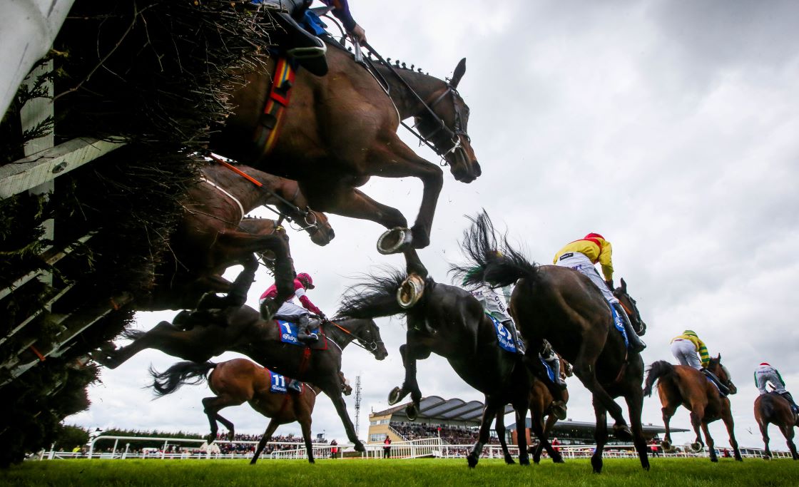 Fairyhouse Racecourse 