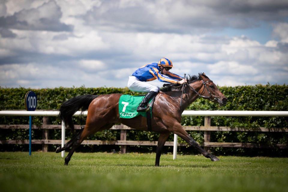 Navan Racecourse