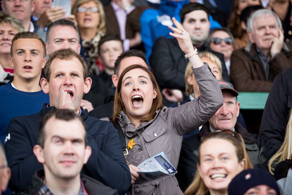 Fairyhouse Racecourse 