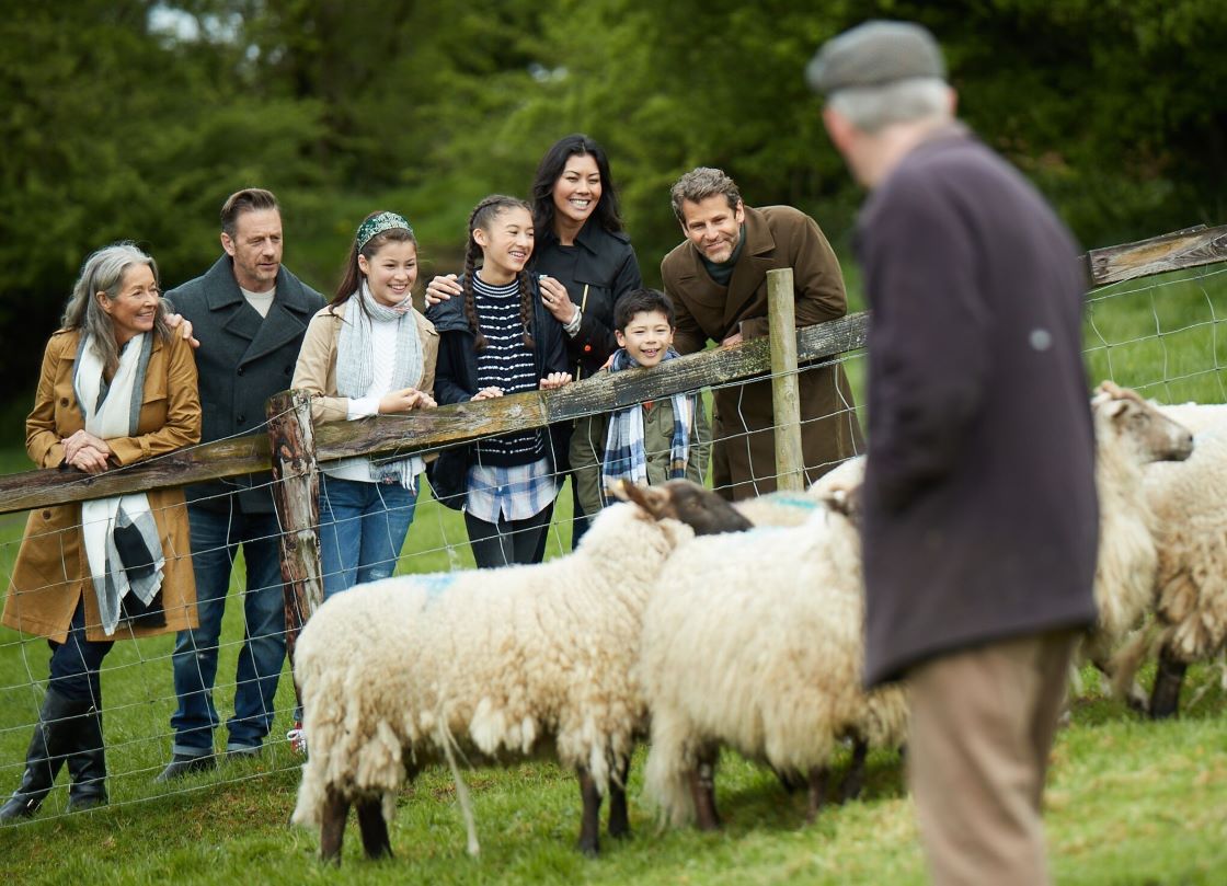 Causey Farm | Discover Boyne Valley Meath, Ireland